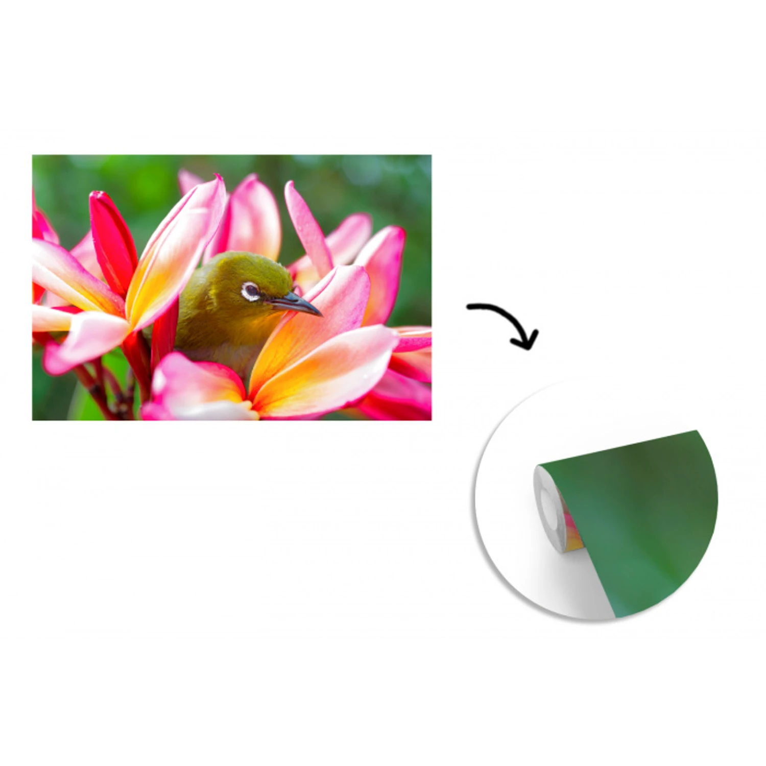 Tropische vogel tussen roze bloem fotobehang vinyl groot -3d