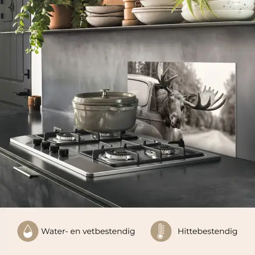 Eland - Auto - Gewei - Zwart - Wit keuken achterwand spatscherm klein -usp_NL
