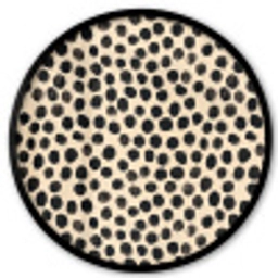 Stippen - Patroon - Zwart Fotolijst rond zonder passe partout klein 856 -3d