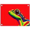 Kikker - Kleurrijk - Strepen - Ogen tuinposter los doek klein -3d