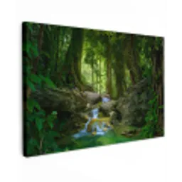 Jungle - Stenen - Water - Natuur - Planten canvas 2cm klein -z3d