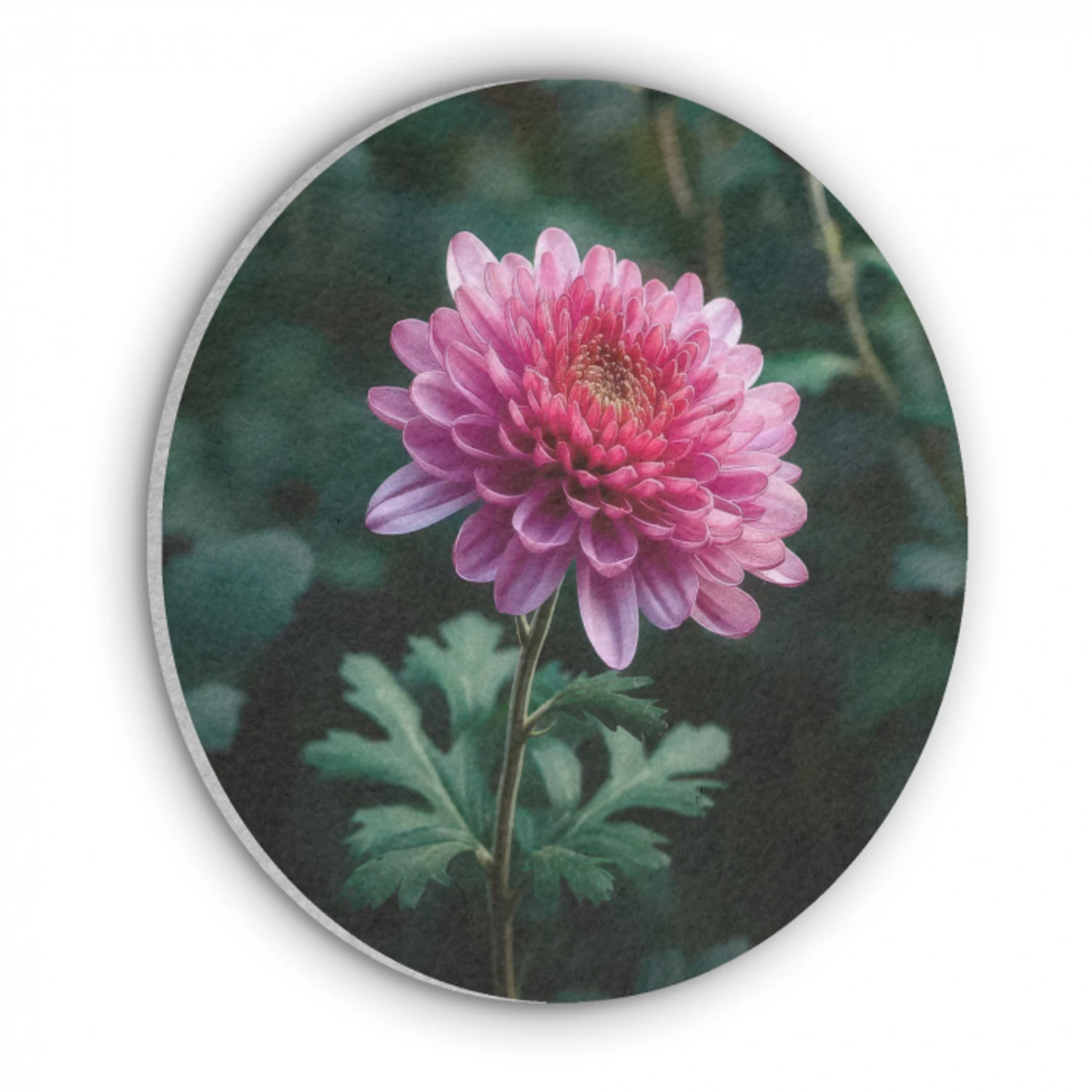 Blad - Chrysant - Roze - Schaduw Akoestische PET Vilt - Rond klein -3d