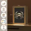 Goud - Krab - Dieren - Zwart Light Box met kabel (Tafellamp) klein -USP_websiteoverzichtNL