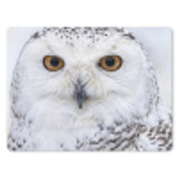 Sneeuwuil - Oog - Wildlife - Wit muismat rubber klein -3d