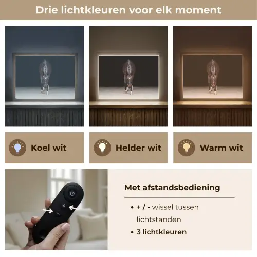 Paard - Modern - Portret Light Box met batterij (Wandlamp) middel -USP_lichtkleurNL