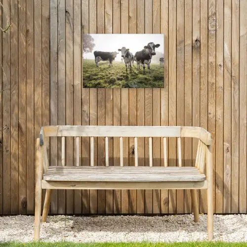 Koeien - Licht - Gras - Dieren Tuinposter op houten frame 2 cm dik klein -sfeer4