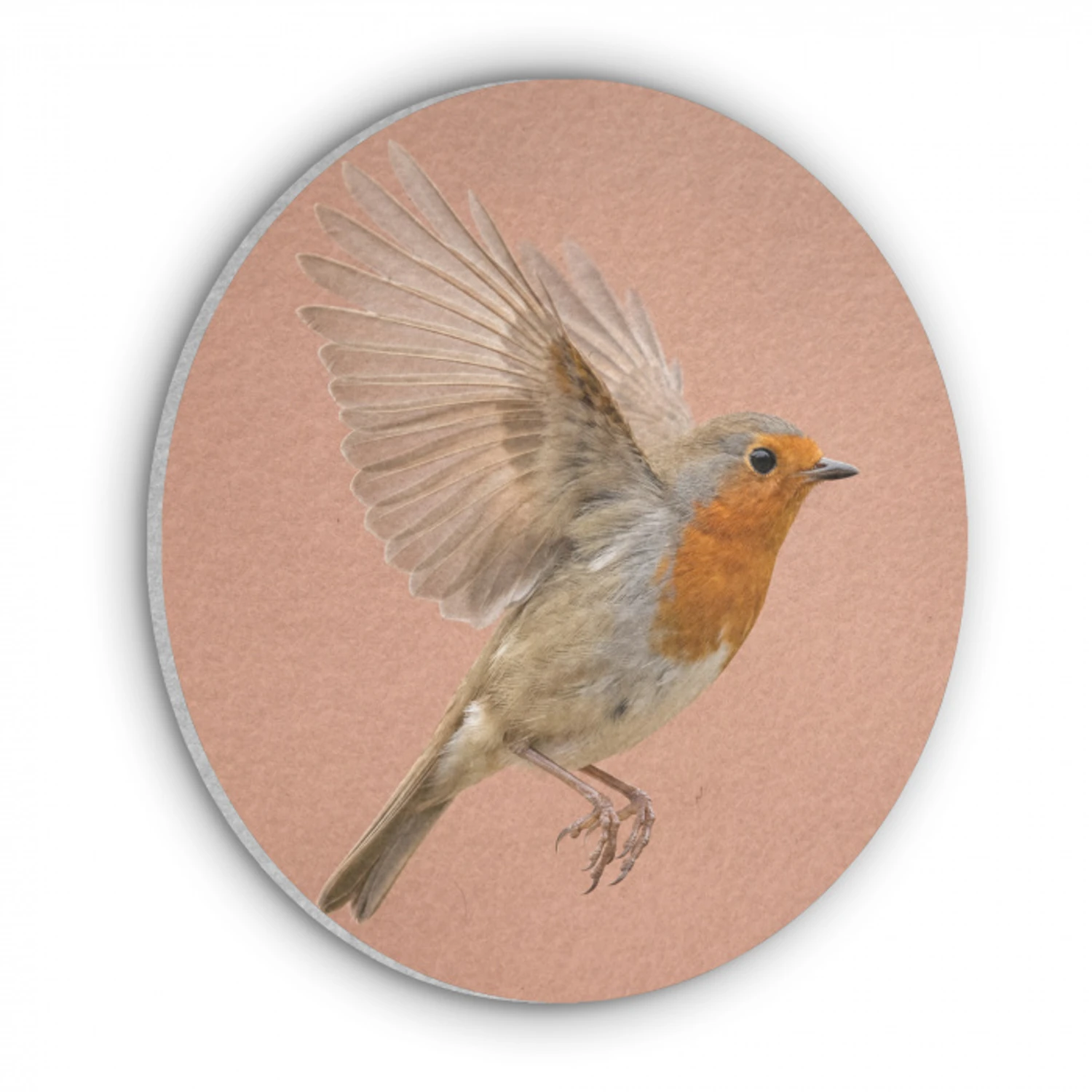 Roodborst - Natuur - Roze Akoestische PET Vilt - Rond klein -3d