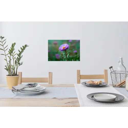 Aster - Paars - Bloem - Blaadjes Muursticker klein -eettafel