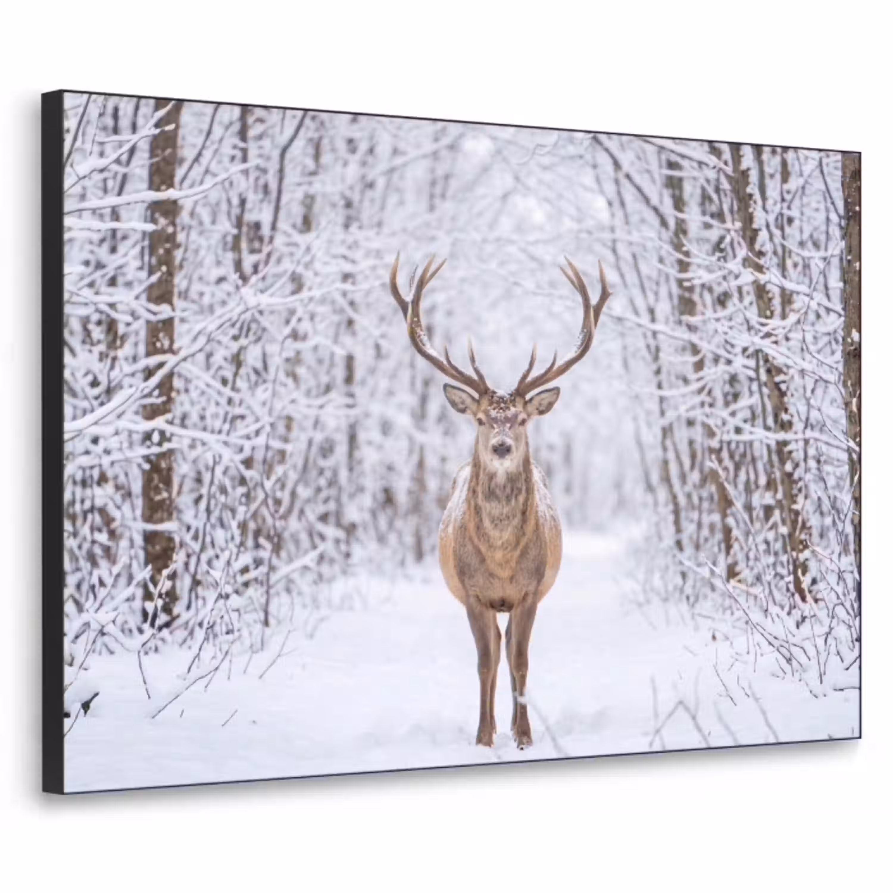 Hert - Winter - Bos - Natuur - Wit Textielframe zwart klein -3d