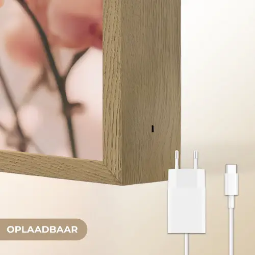 Orchidee - Bloemen - Roze - Bloemblaadjes Light Box met batterij (Wandlamp) middel -USP_websiteoplaadbaarNL