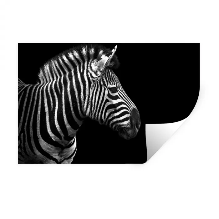 Zebra - Zwart - Wit - Portret - Dieren Muursticker klein -3d