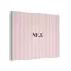 Nice - Strepen - Roze PET vilt klein -3d