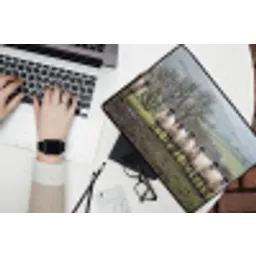 Schapen - Rij - Weide - Dieren - Platteland laptophoes neopreen klein -bureau