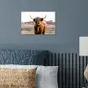 Schotse hooglander - Landschap - Koe - Bruin - Dieren - Natuur poster papier klein -sfeer2