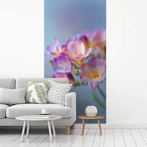 Bloemen - Paars - Overloop - Meeldraden fotobehang vinyl groot -woonkamer