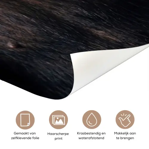 Chimpansee - Badeend - Grijs deurposter klein -closeup_NL