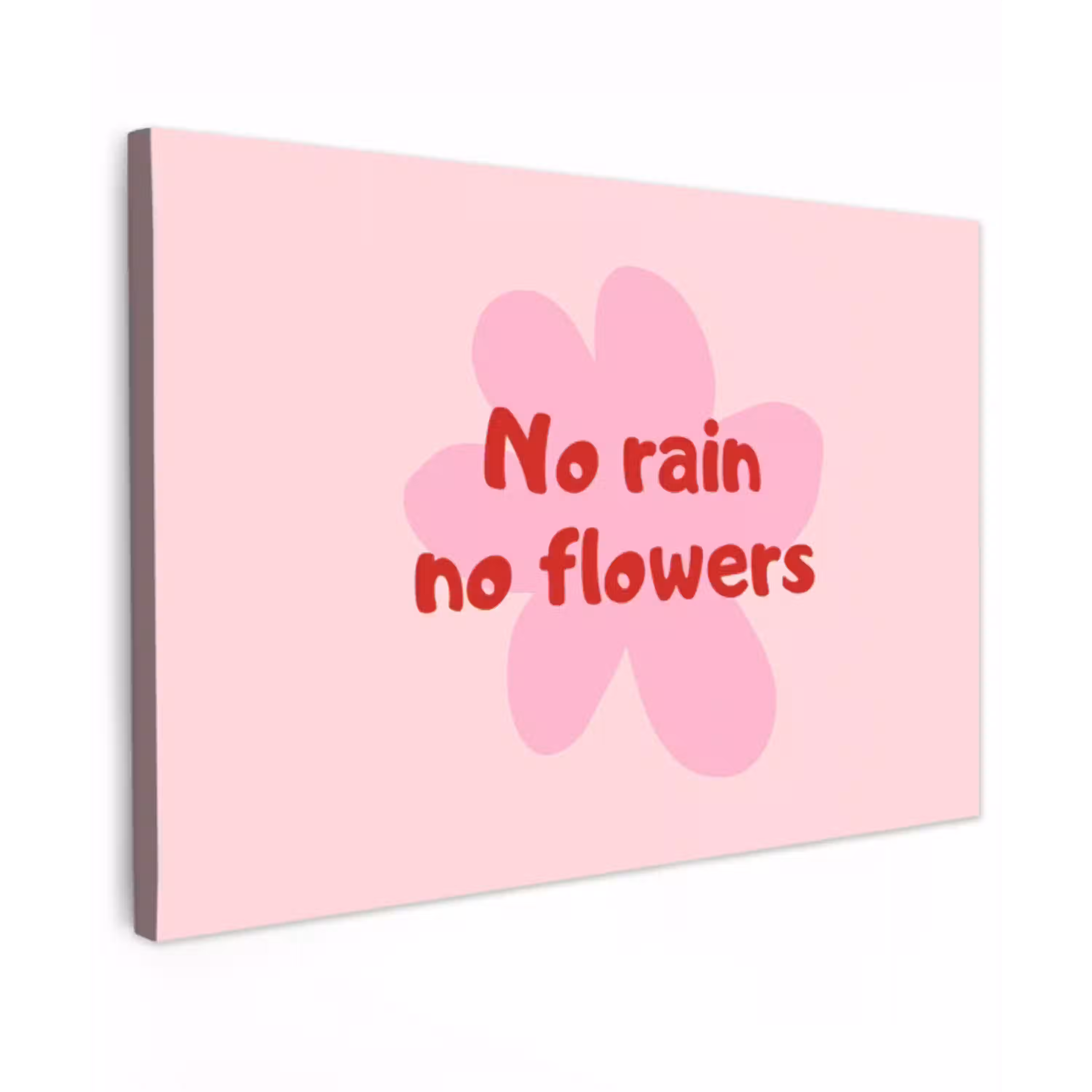 No rain no flowers - Bloem - Roze Tuinposter op houten frame 2 cm dik klein -3d