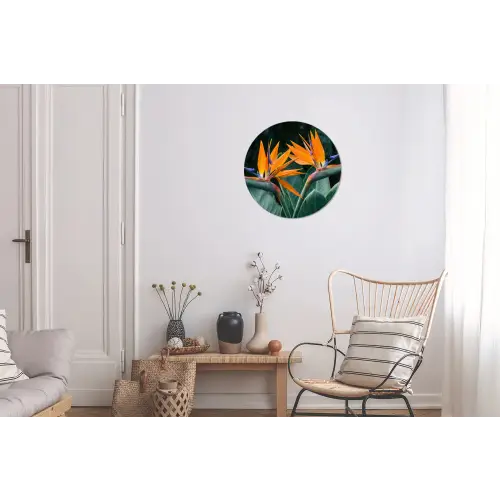 Paradijsvogel - Bloem - Exotisch Wandcirkel aluminium klein -woonkamer