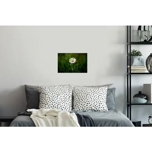 Wit - Madeliefje - Bloem - Gras Muursticker klein -slaapkamer