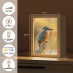 IJsvogel - Tak - Water - Kleurrijk - Levendig Light Box met kabel (Kinderlampje) klein -USP_DE