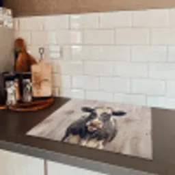 Koe - Portret - Dieren - Modern Inductie beschermer vinyl 3mm middel -sfeer3