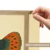 Vis - illustratie - Stippen - Oranje Light Box met batterij (Wandlamp) middel -USP_websiteprintNL