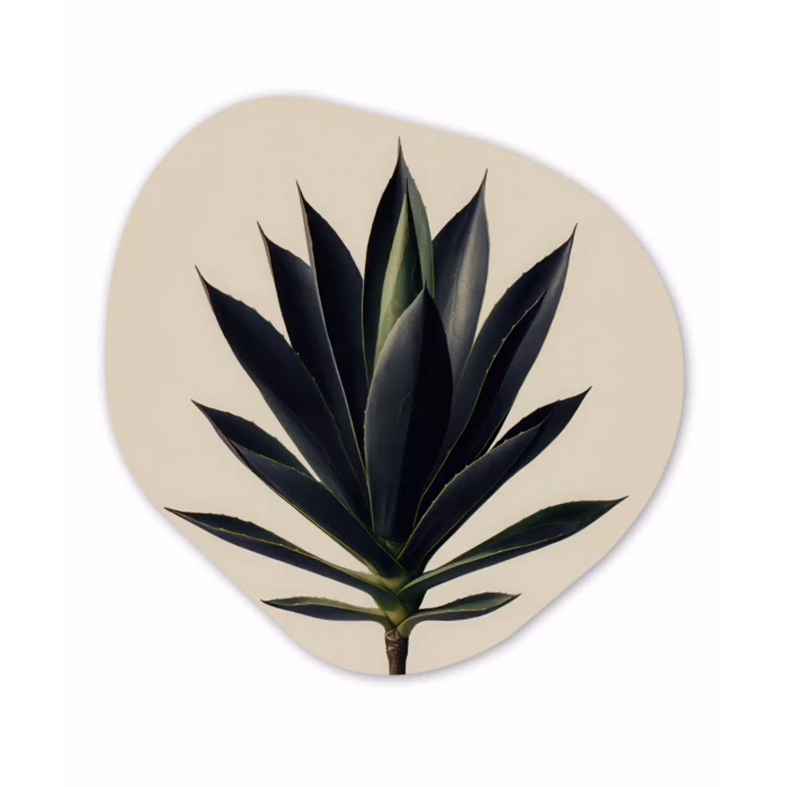 Agaveplant - Symmetrisch - Groen Wandcirkel Organisch Forex 3mm klein -3d