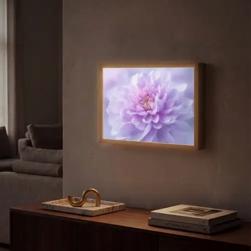 Paars - Dahlia - Dromerig Light Box met batterij (Wandlamp) middel -sfeer1