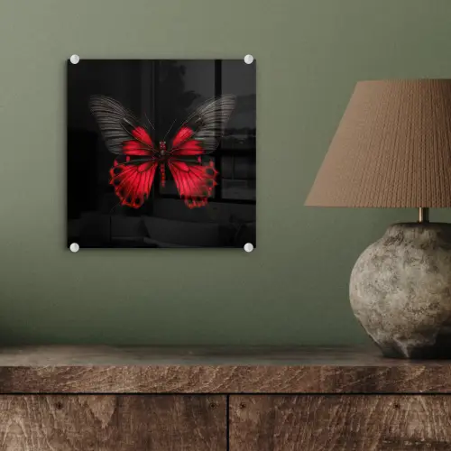 Vlinder - Rood - Contrast plexiglas 5mm klein -sfeer3