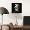 Arend -Amerika - Koksmuts - Vogel - Stoer aluminium wit klein -sfeer5