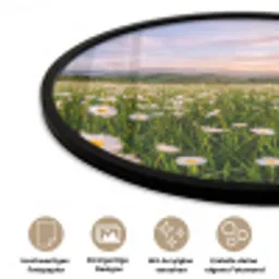 Madelief - Veld - Heuvels - Groen Fotolijst rond zonder passe partout klein -closeup_DE