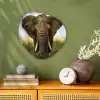 Olifant - Natuur - Gras - Dieren - Landschap Wandcirkel Organisch Forex 3mm klein -sfeer2
