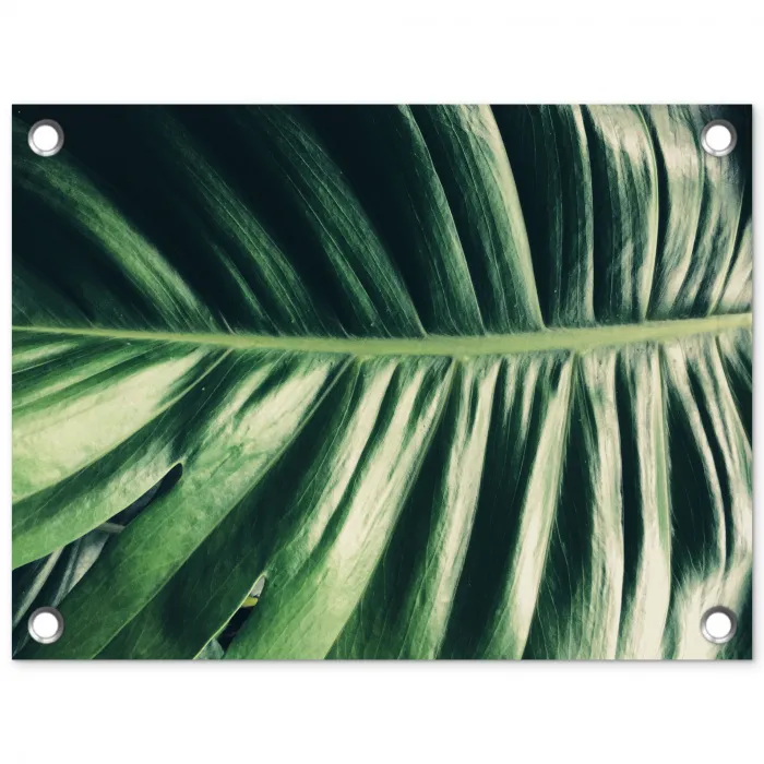 Inductie beschermer - Bananenblad - Tropisch - Jungle - Bladeren tuinposter los doek klein -3d