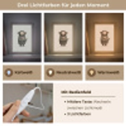 Aap - Roze bloemen - Speels Light Box met kabel klein -USP_lichtkleurDE