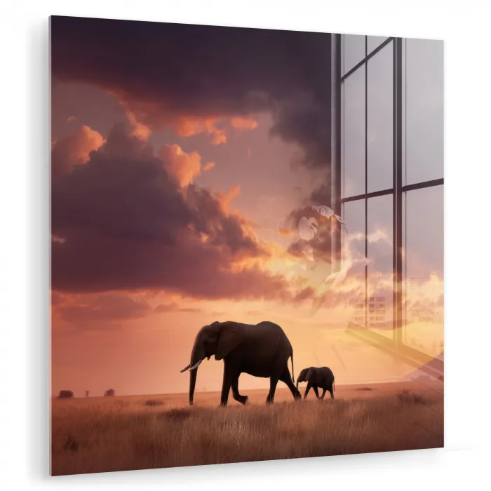 Olifanten - Grasland - Zonsondergang plexiglas 5mm klein -zzzproduct_nieuw