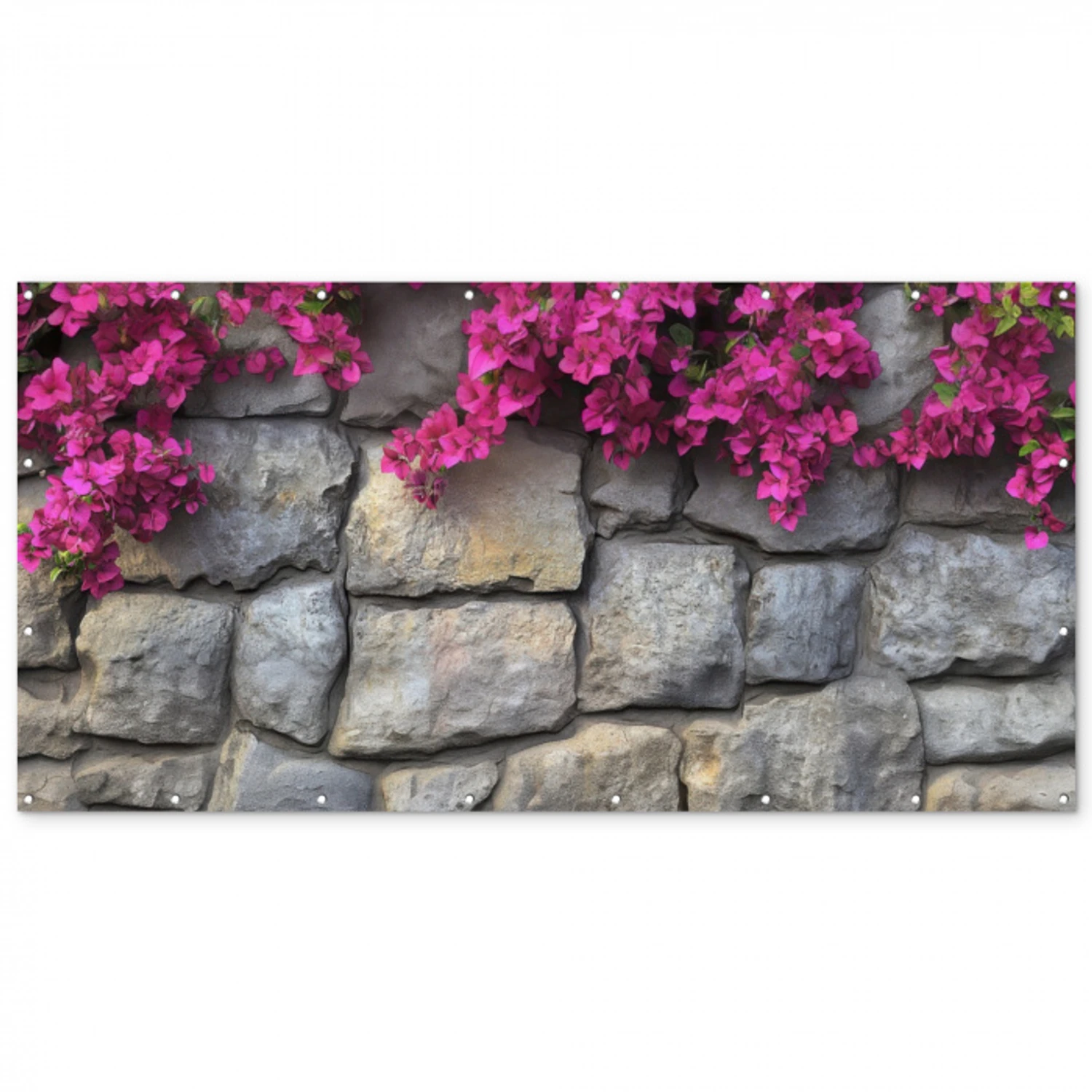 Bougainvillea - Stenen Muur - Roze Balkonbeschermer Duitsland klein -zz_3d