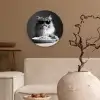 Langharige kat - Zonnebril - Spaghetti - Humor - Zwart - wit Wandcirkel kunststof plaat 5mm dik klein -sfeer1