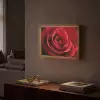Rood - Roos - Romantisch Light Box met batterij (Wandlamp) middel -sfeer1