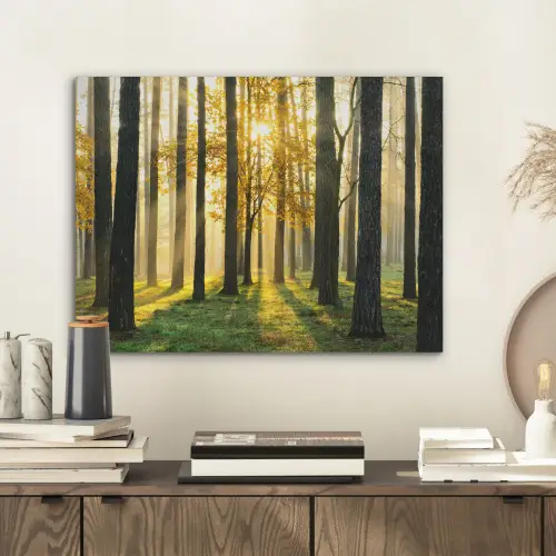 Bos - Zon - Bomen - Gras - Landschap  - Natuur PET vilt klein -sfeer1