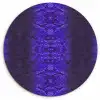 Slang - Boa - Paars - Blauw Wandcirkel plexiglas klein 852 -3d