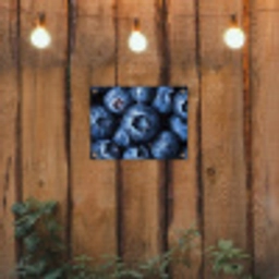 Bessen - Blauw - Fruit tuinposter los doek klein -sfeer1