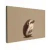 Egel - Snuitje - Bruin - Stekels canvas 2cm klein -z3d
