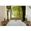 Bos - Zon - Seizoenen - Landschap fotobehang vinyl groot -bed