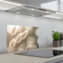 Hazestaartgras - Wit - Zonlicht keuken achterwand spatscherm klein -3d_schuin