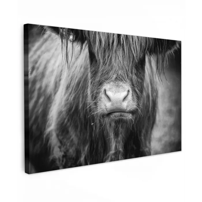 Schotse hooglander - Koe - Zwart - Wit - Dieren canvas 2cm klein -z3d