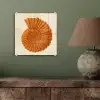 Schelp - Oranje - Ribbels plexiglas 5mm klein -sfeer3