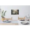 Tijger - Vlinders - Dieren - Jungle - Bloemen Muursticker klein -eettafel