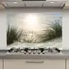 Zand - Gras - Zon keuken achterwand spatscherm klein -3d_website