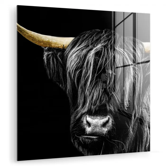 Schotse hooglander - Goud - Vacht - Dieren - Koe plexiglas 5mm klein -zzzproduct_nieuw