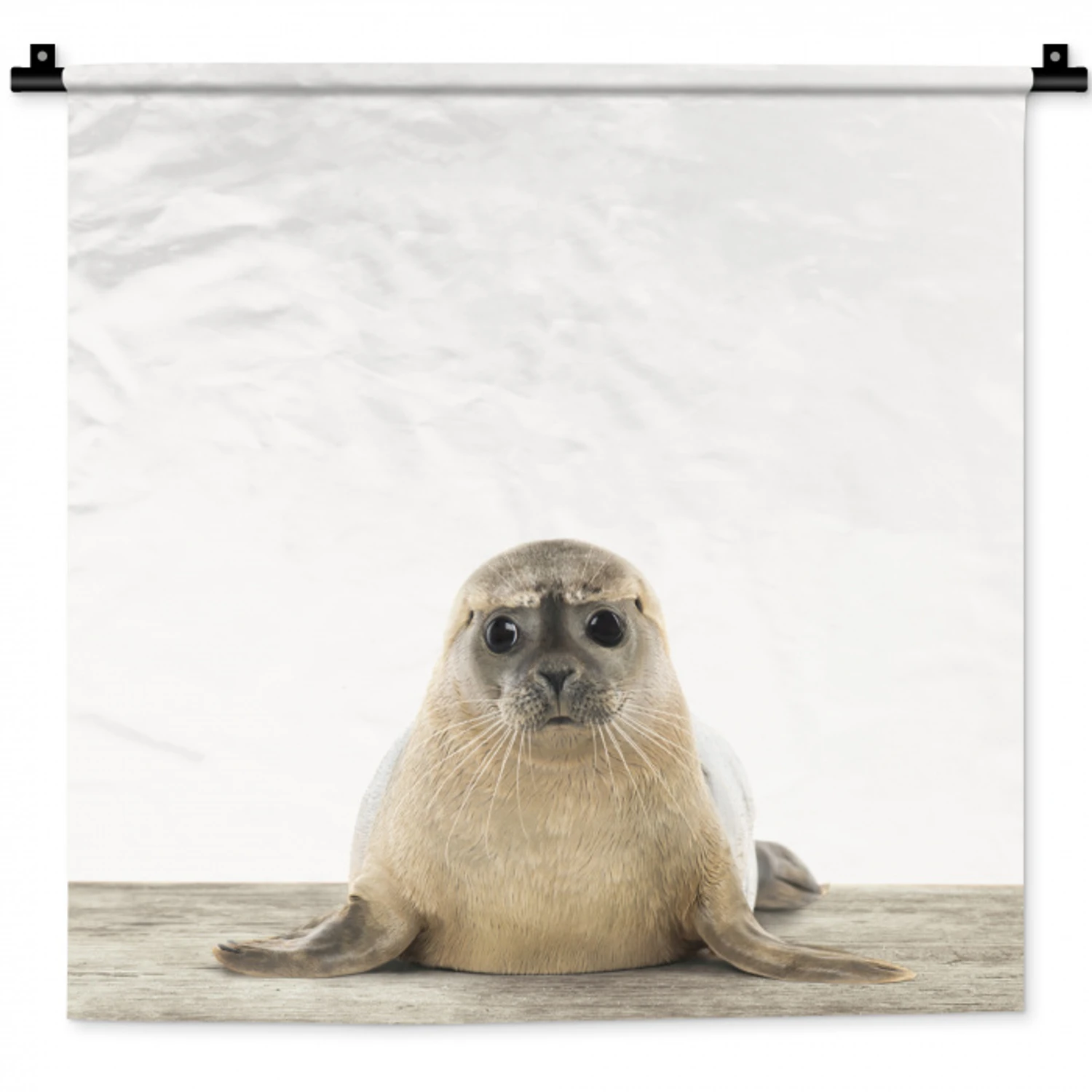 Zeehond - Dieren - Kind - Jongens - Meisjes - Kinderen Wandkleed katoen klein -zz3d